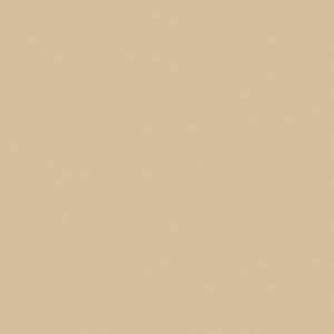 1669096469144972.jpg 25FL1009.jpg