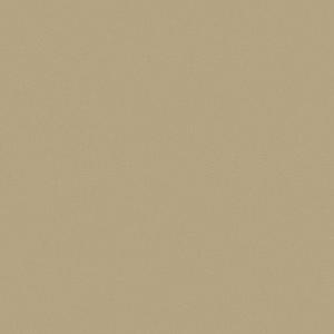 1669096550542179.jpg 25FL1010.jpg